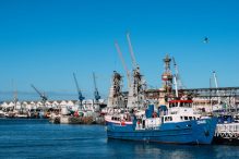Mastering Export Trade: Strategies for Expanding Your Business Globally