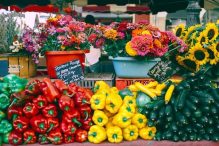 What is Wholesale trade? Advantages, Types, and Functions