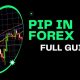 PIP IN FOREX